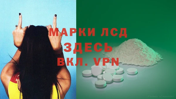 эйфоретик Вяземский