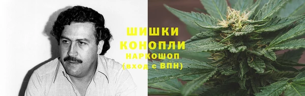 эйфоретик Вяземский