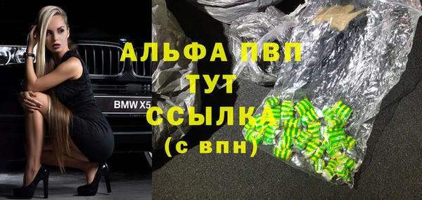 PSILOCYBIN Вязьма