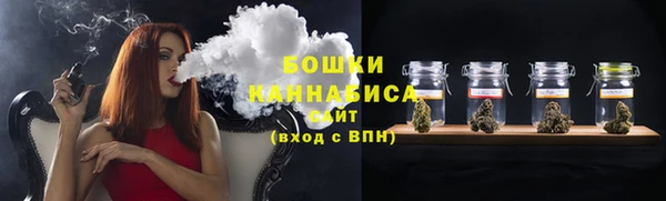 PSILOCYBIN Вязьма
