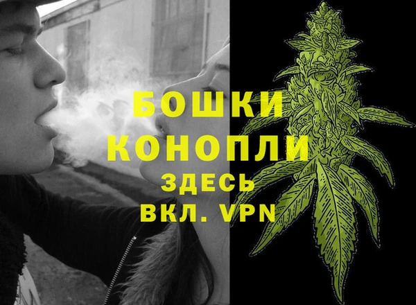PSILOCYBIN Вязьма