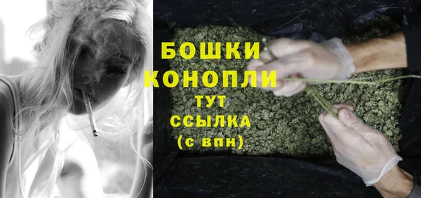 PSILOCYBIN Вязьма