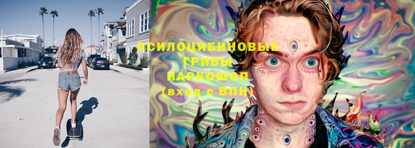 PSILOCYBIN Вязьма