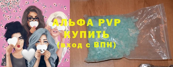 PSILOCYBIN Вязьма
