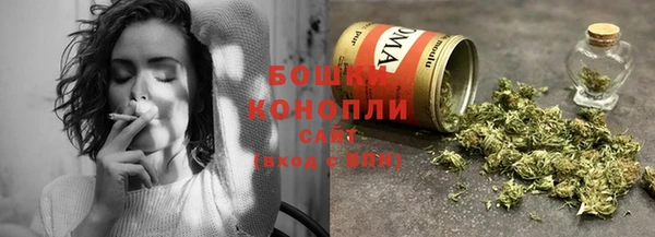 PSILOCYBIN Вязьма