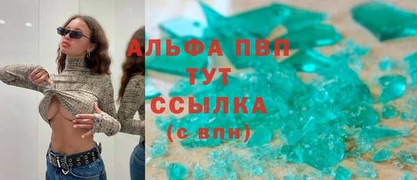 эйфоретик Вяземский