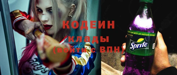 эйфоретик Вяземский
